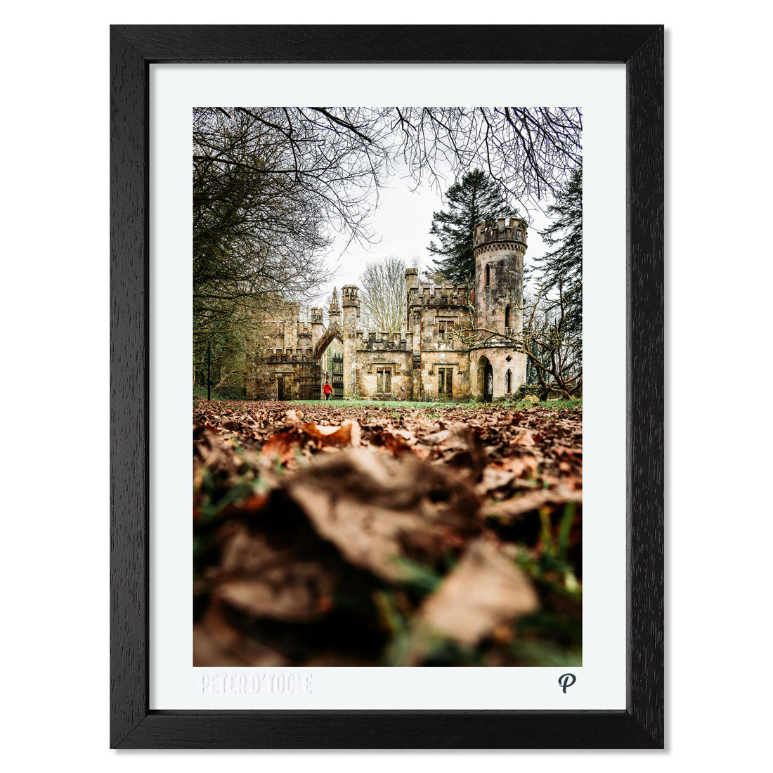 Ballysaggartmore Towers Print (Framed)