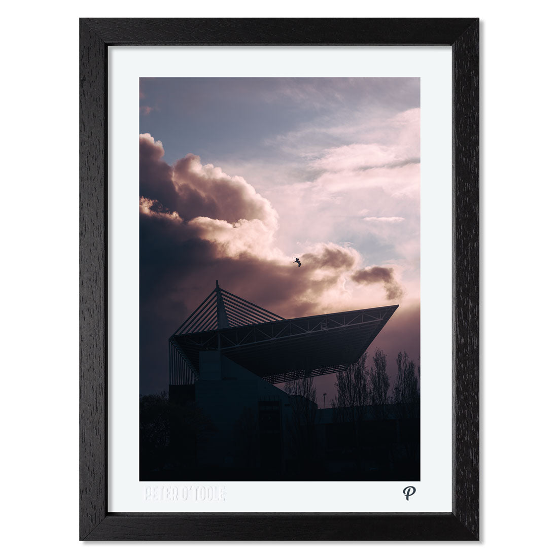 Fight or Flight Print (Framed)