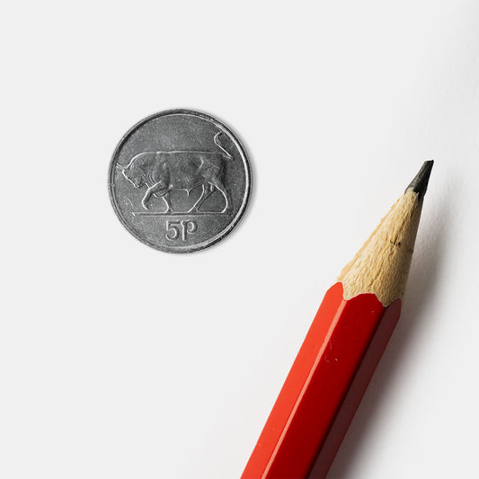 5p Bull Coin Print (Framed)