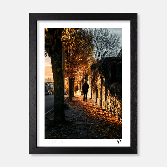 Autumnal Walk on Wellington Print