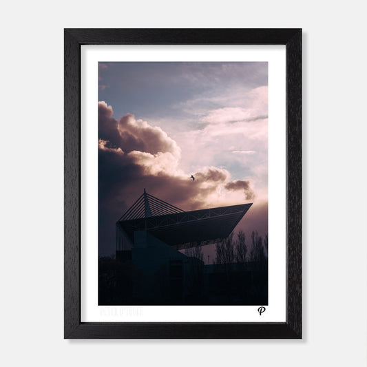 Fight or Flight Print