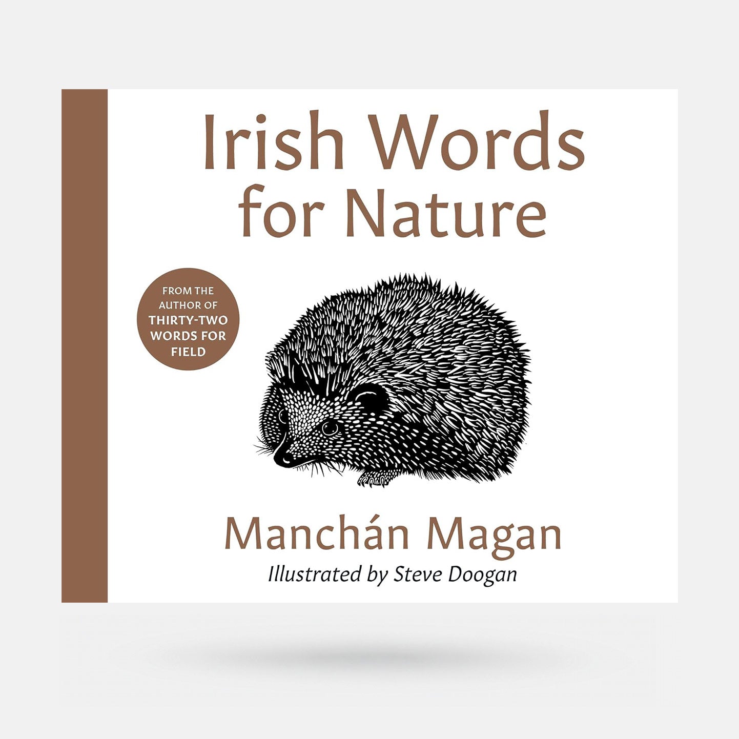 Irish Words for Nature by Manchán Mangan - Book
