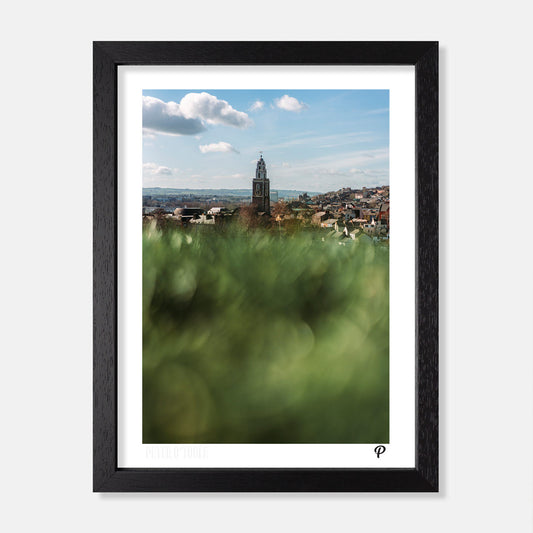 Sunny Shandon Print