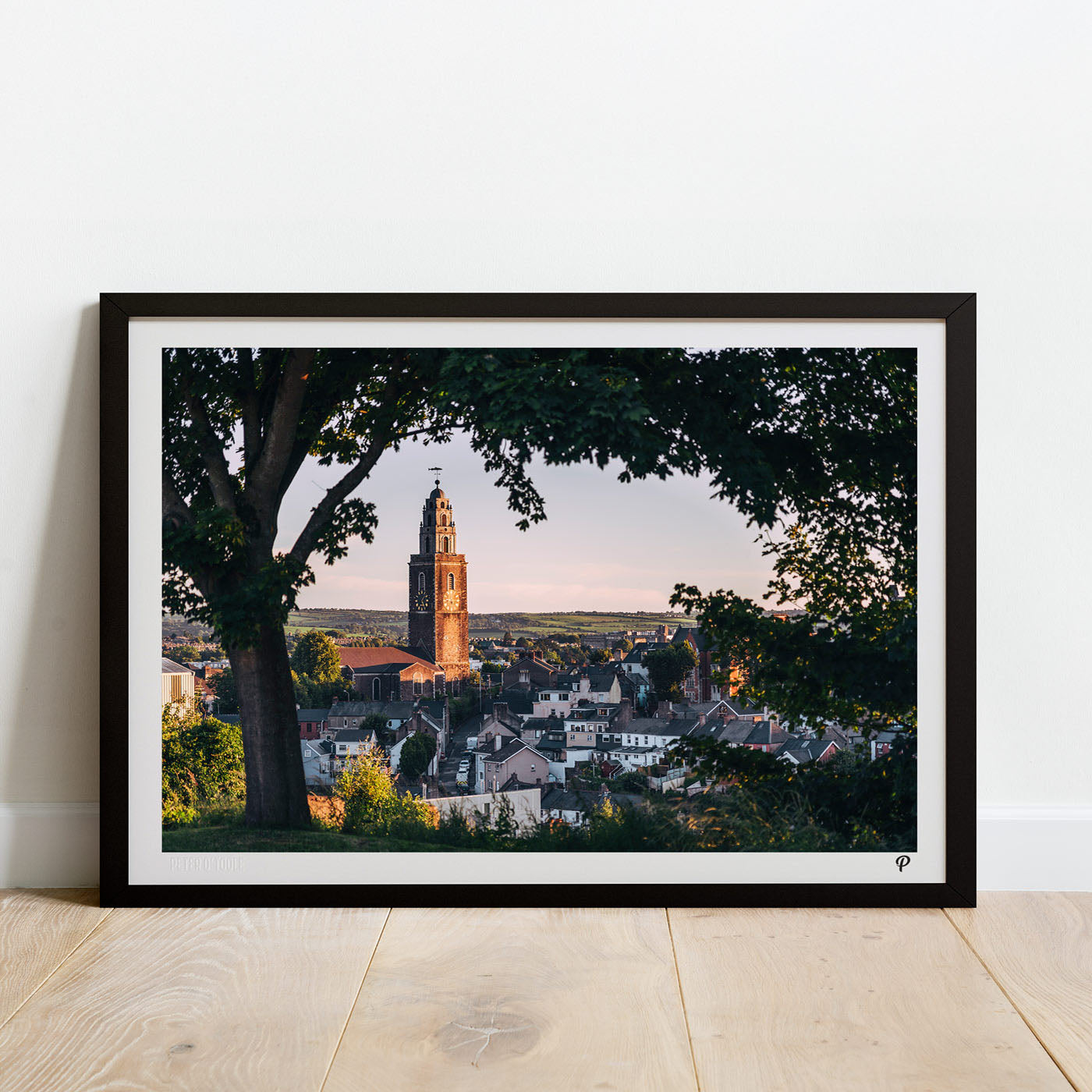 The Bells of Scenic Shandon Print