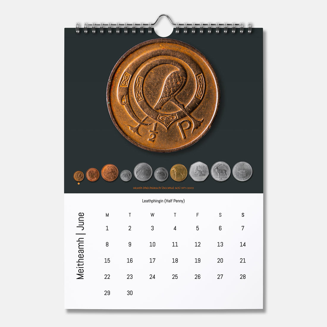 Boinn na hÉireann - Féilire 2026 (Coins of Ireland Calendar 2026)