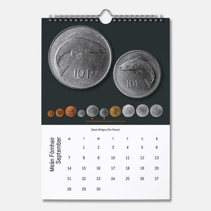 Boinn na hÉireann - Féilire 2026 (Coins of Ireland Calendar 2026)