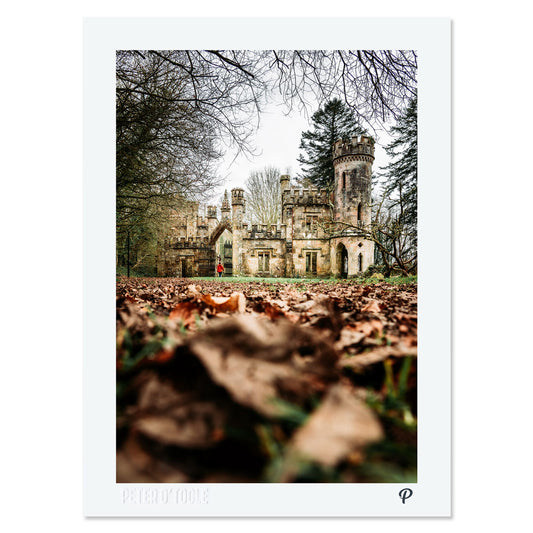 Ballysaggartmore Towers Print