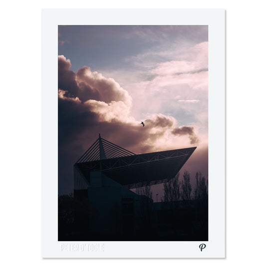 Fight or Flight Print