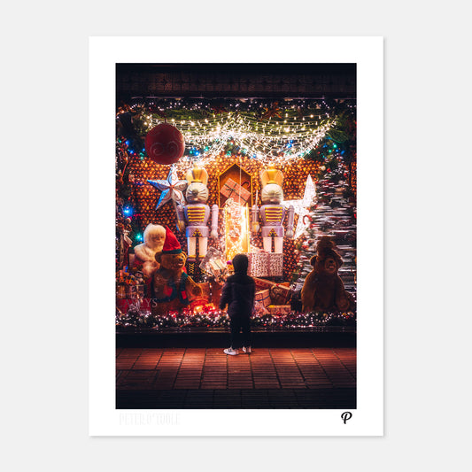 A Window to Wonder Print