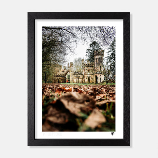 Ballysaggartmore Towers Print