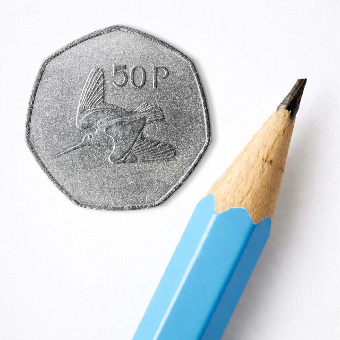 50p Woodcock Bird Coin Print