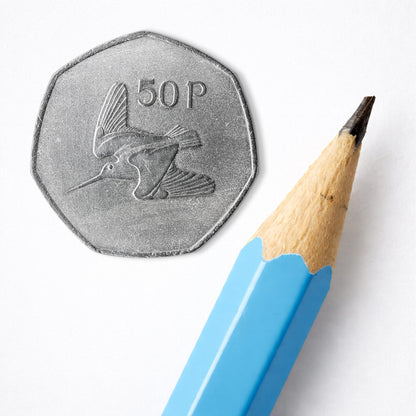 50p Woodcock Bird Coin Print