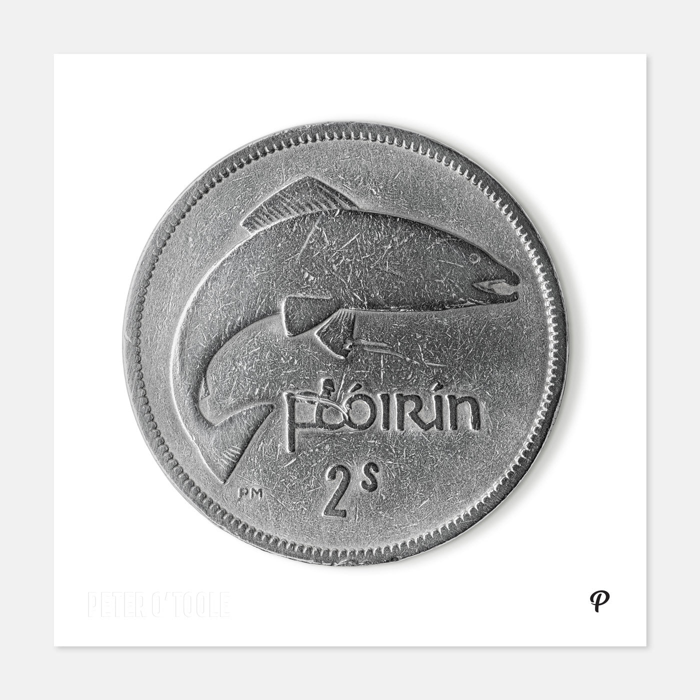2 Scilling Flórín Salmon Coin Print
