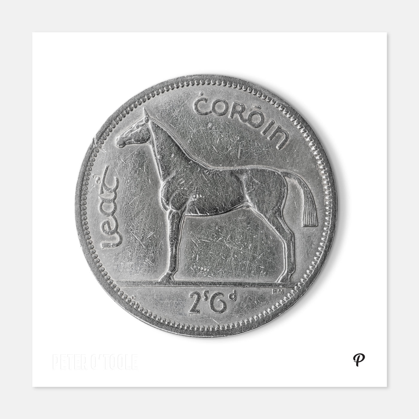 Half Crown/Leath Choróin Irish Hunter Horse Coin Print