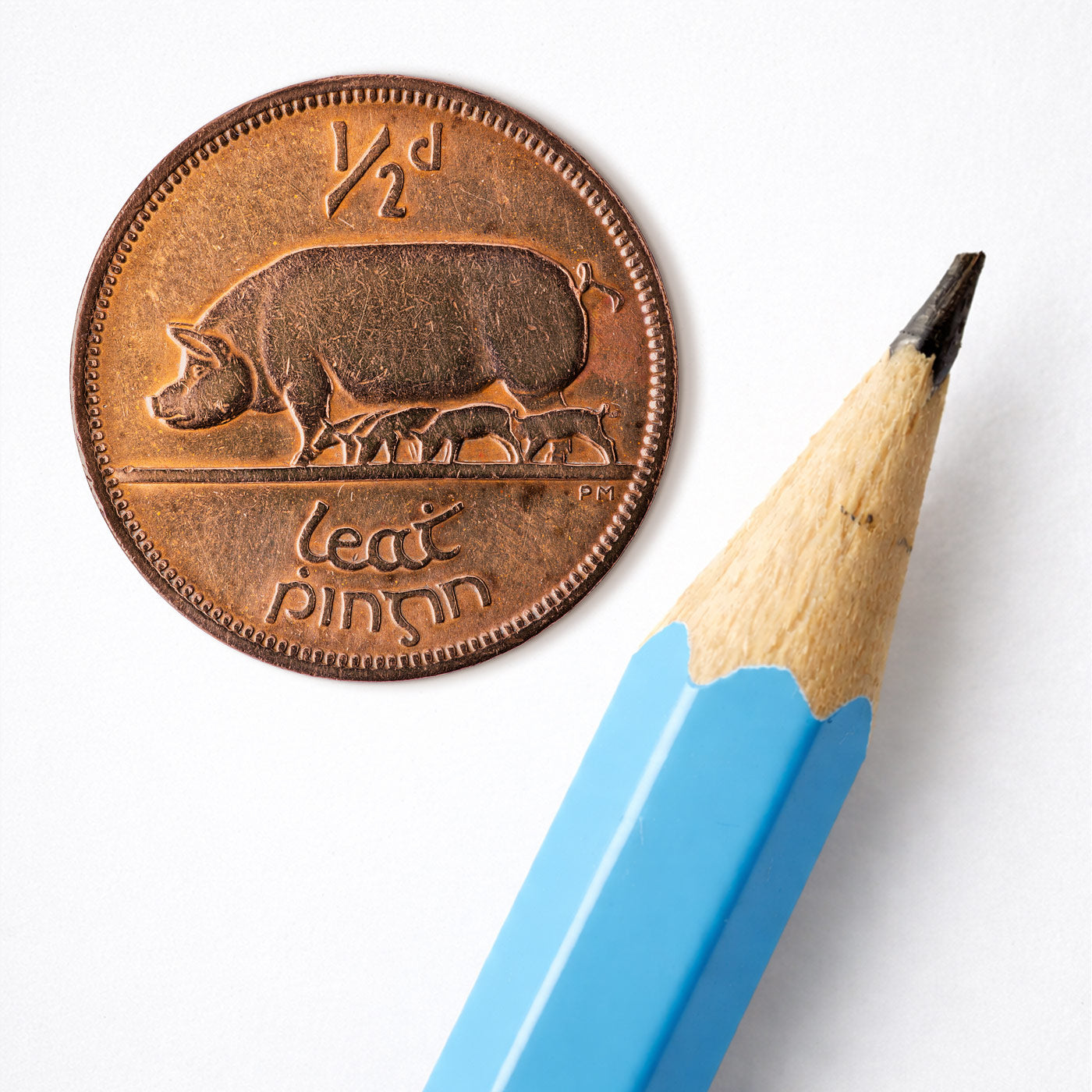 Half Penny/Leath Phingin Sow & Piglets Coin Print