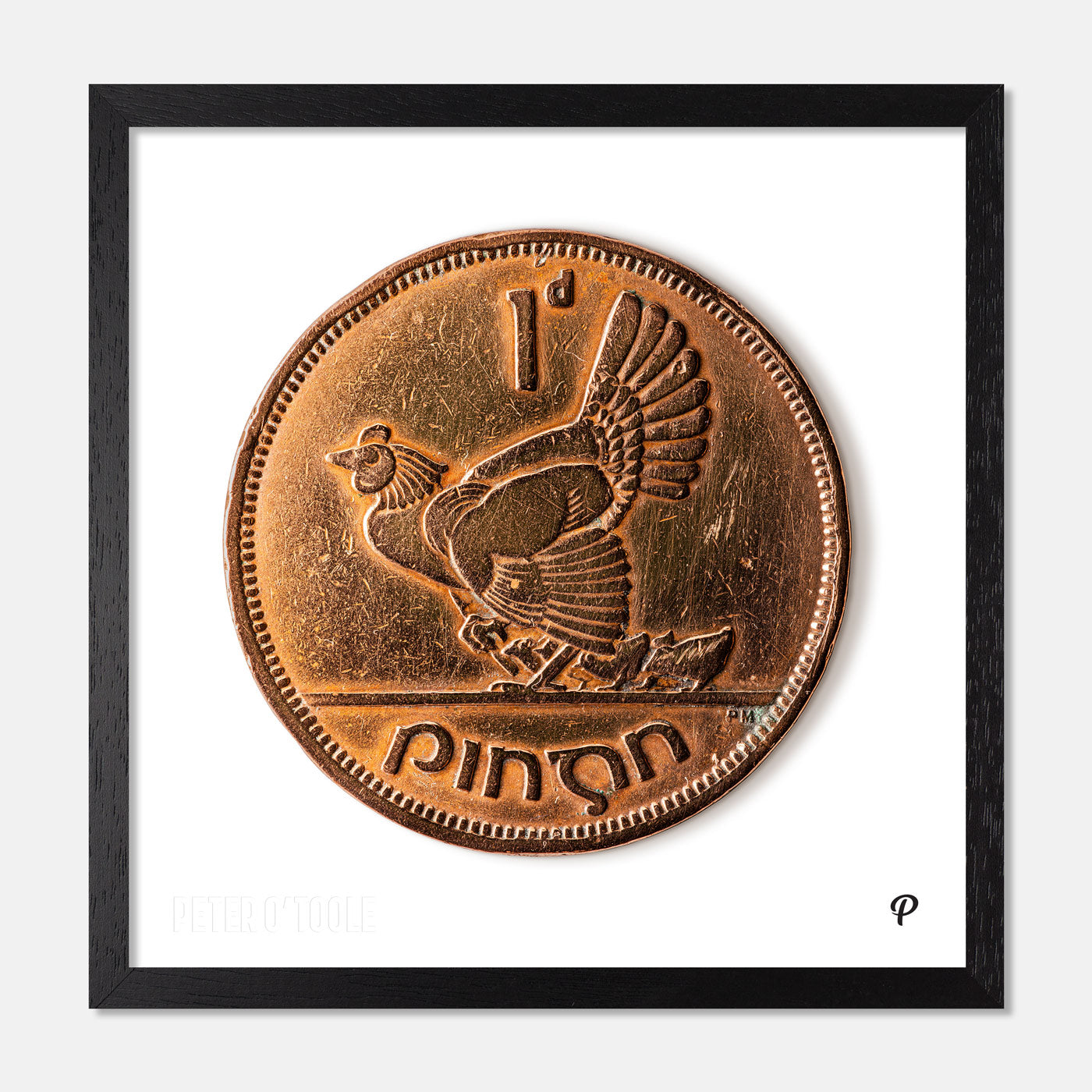 One Penny/Pingin Hen & Chicks Coin Print
