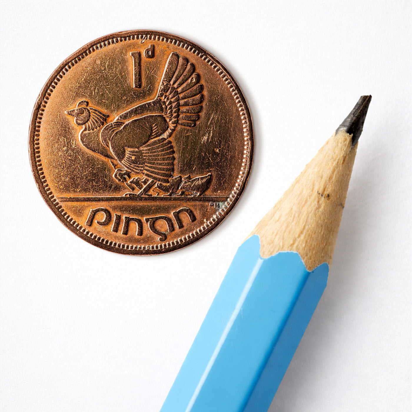 One Penny/Pingin Hen & Chicks Coin Print