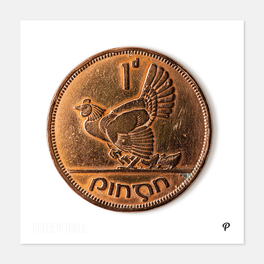 One Penny/Pingin Hen & Chicks Coin Print