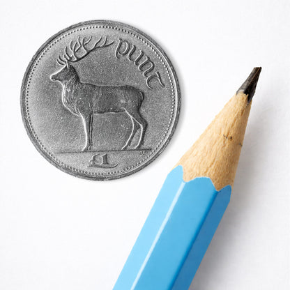 One Pound Deer Coin Print