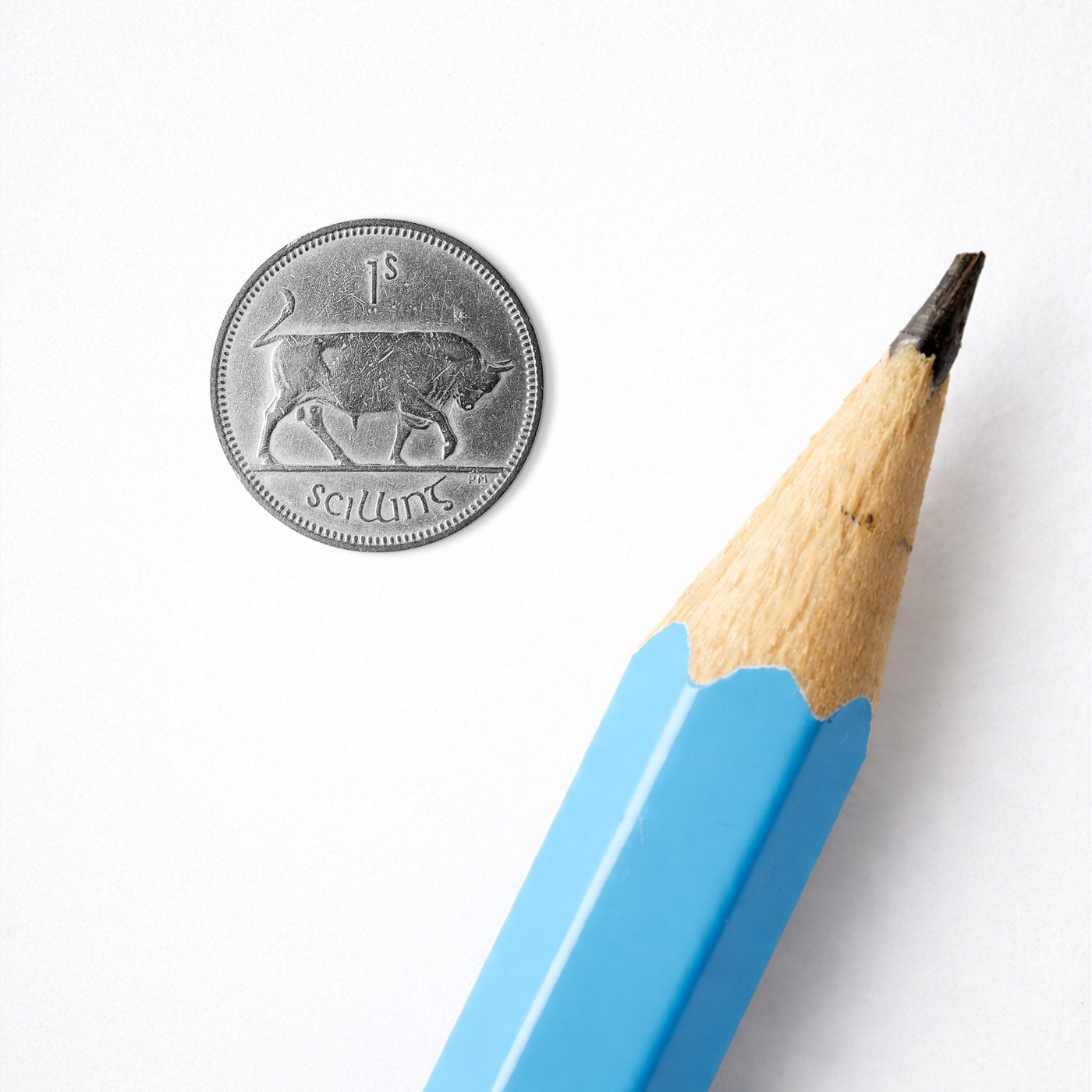 One Scilling Bull Coin Print