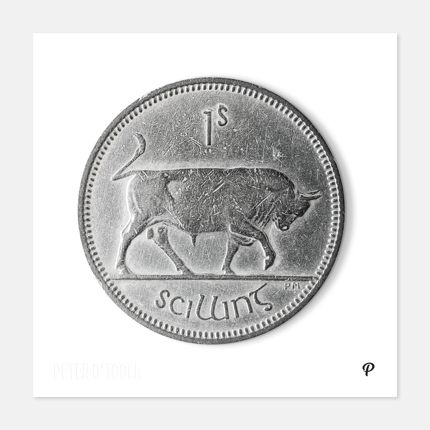 One Scilling Bull Coin Print