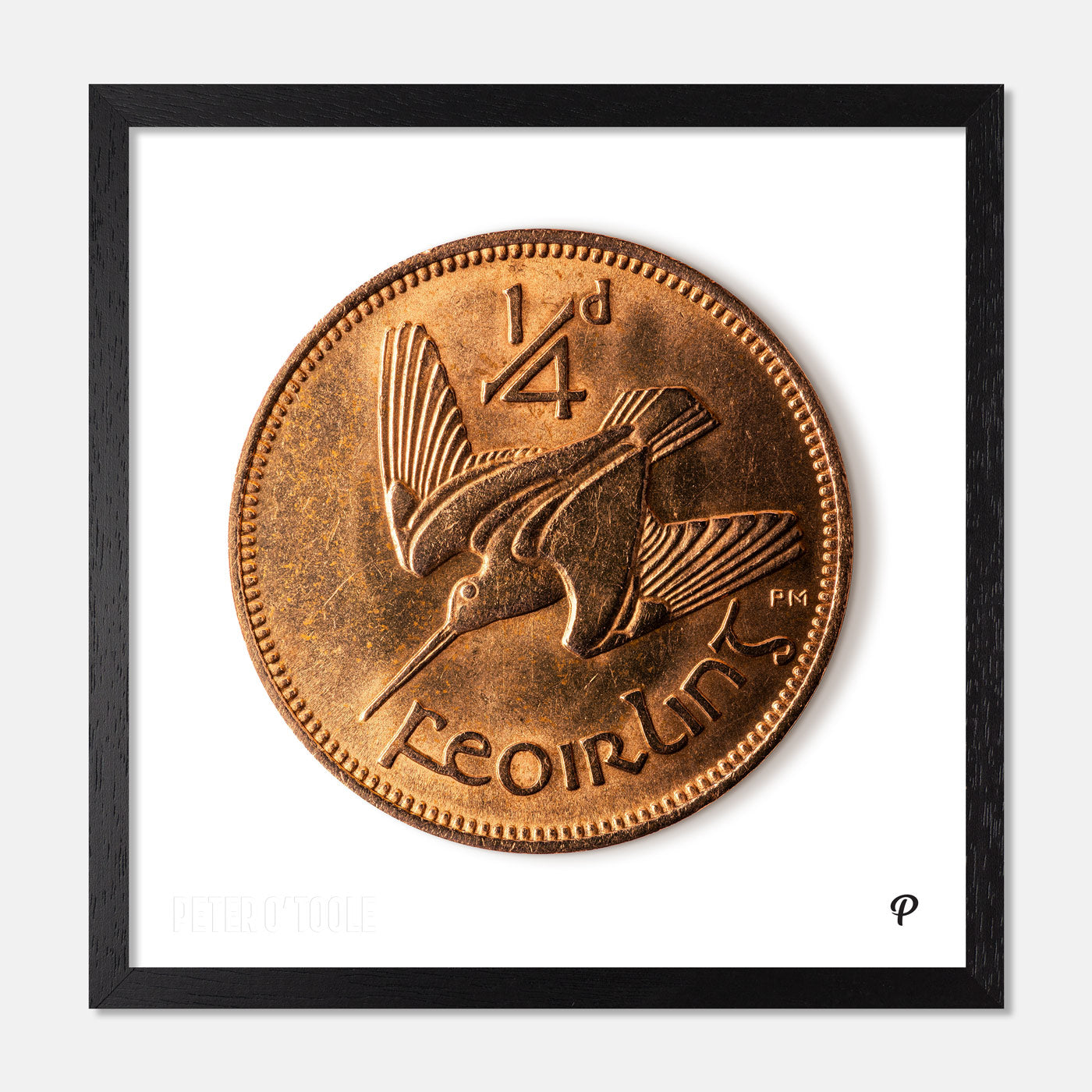 Quarter Penny Feoirling Woodcock Coin Print