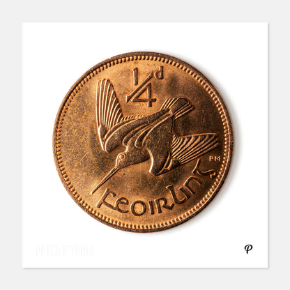 Quarter Penny Feoirling Woodcock Coin Print