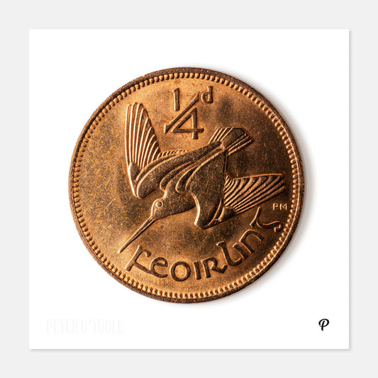Quarter Penny Feoirling Woodcock Coin Print